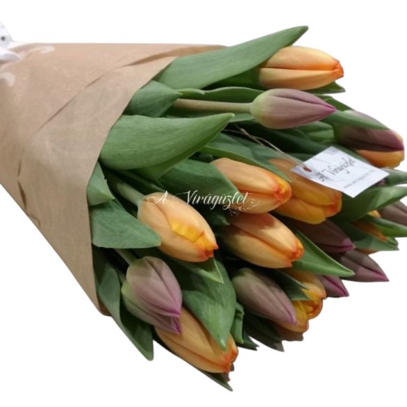 Tulip bouquet